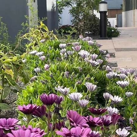 Apartment Casa Domino Villaverde (Fuerteventura)