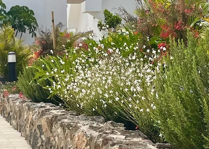Casa Domino